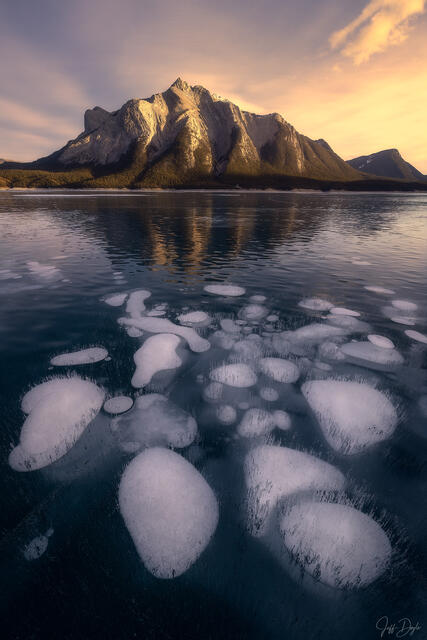 Frozen Ice