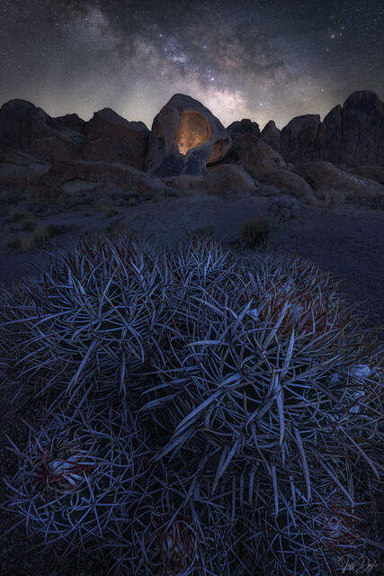 Desert Essence