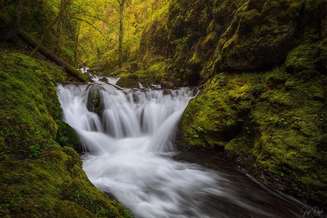 VERDANT FLOW