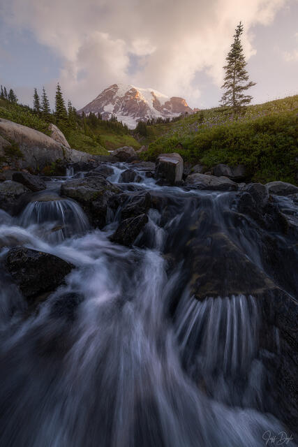 FIRST LIGHT