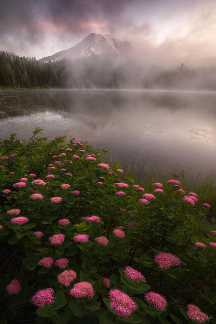THE QUIET BETWEEN