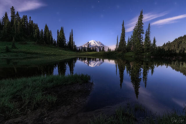 STILLNESS BENEATH THE STARS
