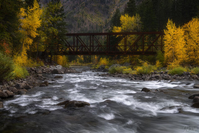 BRIDGE OF SEASONS