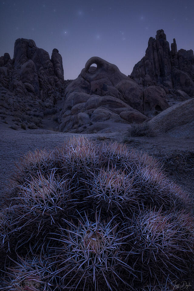 Alabama Hills at twilight with natural arch, desert rock formations, barrel cactus in foreground, and starry dusk sky