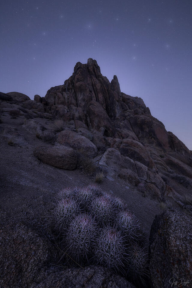 Rock formations in the Alabama Hills at dawn with starry sky, desert slope, and foreground barrel cactus in soft blue pre-dawn light.