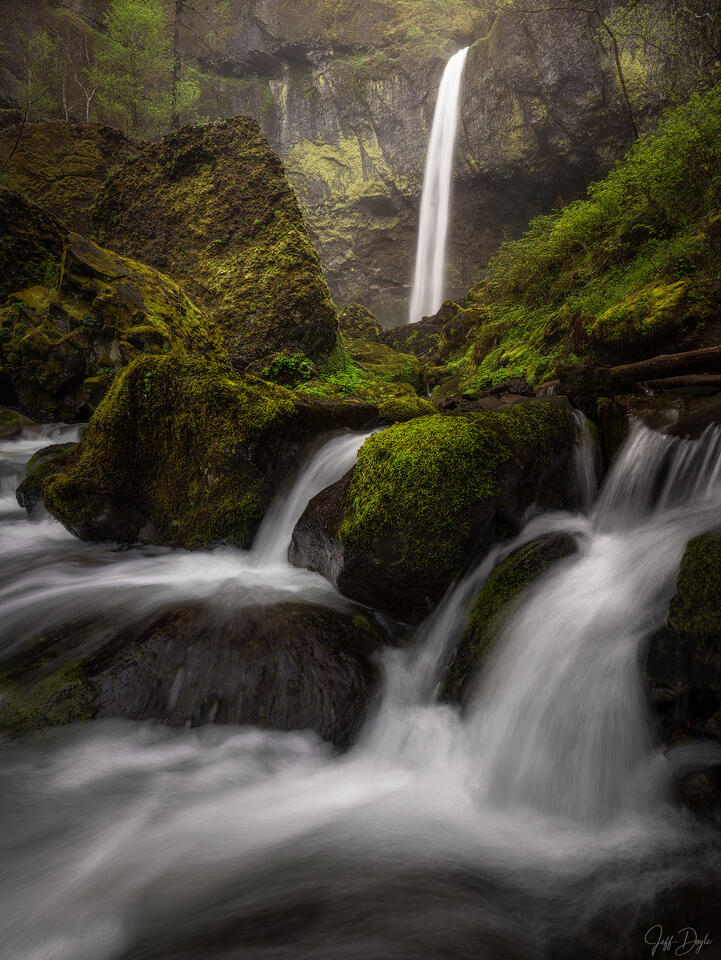 Elowah Falls – Misty Gorge Waterfall Cascading Over Mossy Basalt in Oregon