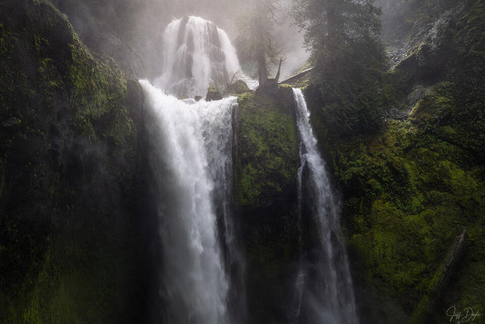 Falls Creek Falls in the Columbia River Gorge