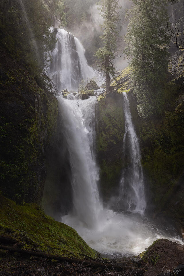 Falls Creek Falls – Sunbeams and Spray Surround Towering Waterfall in Pacific Gorge