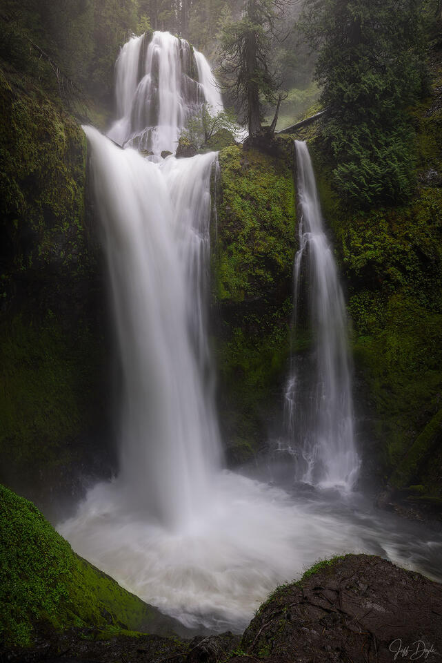 Falls Creek Falls Tiered Waterfall Plunging into Mossy Gorge in Pacific Northwest