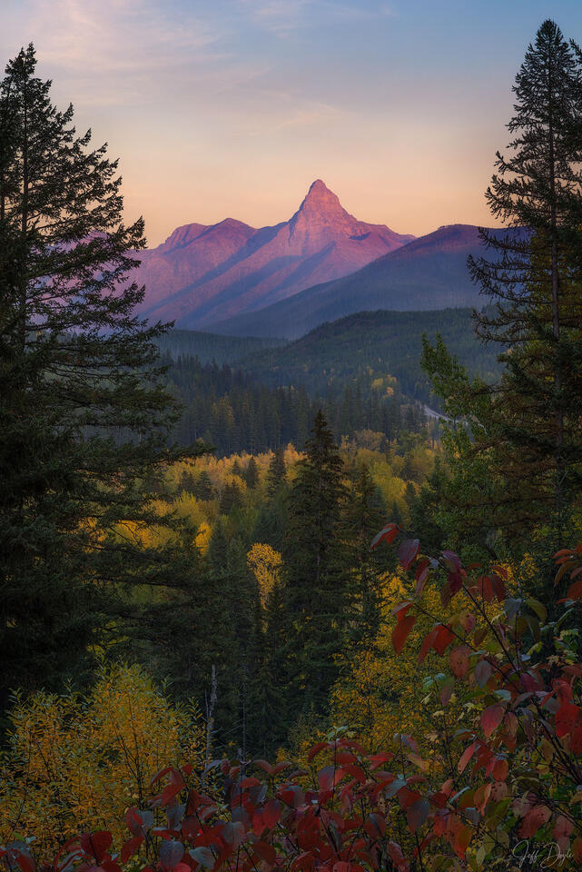 Glacier National Park – Loneman Mountain at Sunset Framed by Vibrant Fall Foliage and Pines