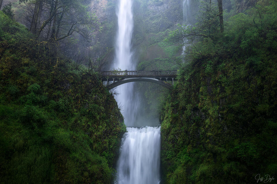 Multnomah Falls in the Columbia River Gorge