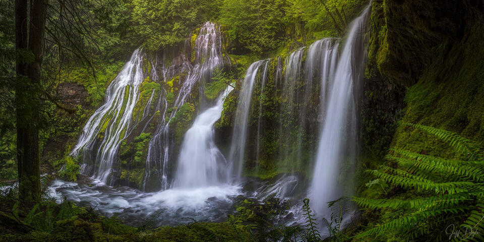 Panther Creek Falls – Multi-Tiered Waterfall Cascading Through Mossy Gorge in Washington