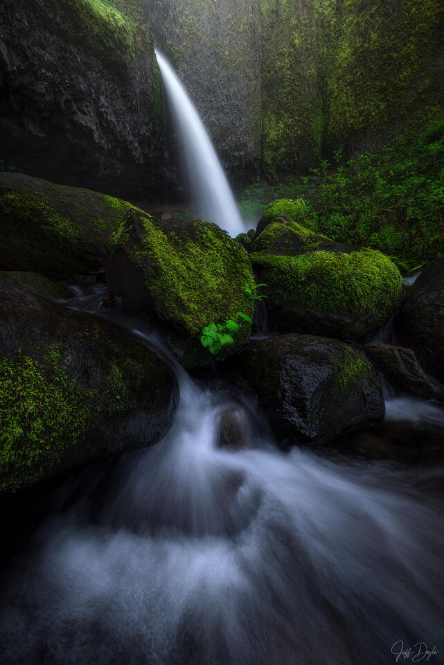 Ponytail Falls – Cascading Stream Behind Lush Moss-Covered Basalt Wall in Oregon Gorge