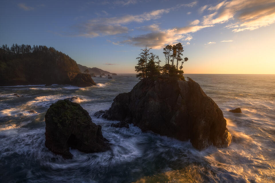 Golden Sunset on Oregon Coast – Trees Perched on Sea Stacks Amid Turbulent Waves