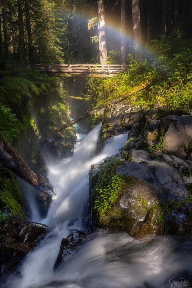 Misty Sol Duc Falls Pouring Through Mossy Gorge with Forest Rainbow
