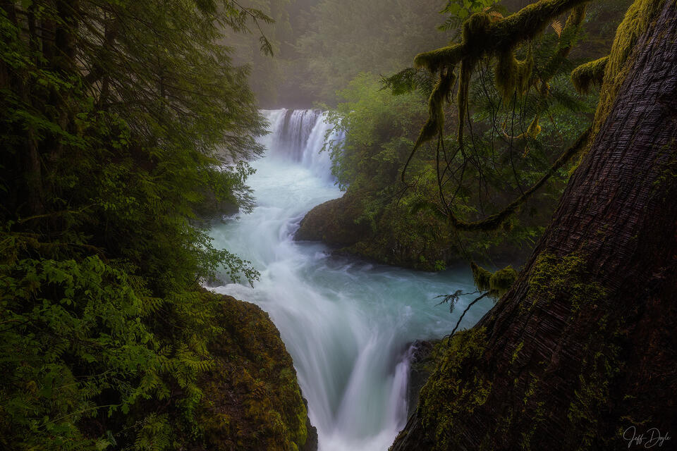 Spirit Falls in the Columbia River Gorge during spring, with turquoise water flowing through a forested canyon surrounded by moss-covered trees, mist, and light