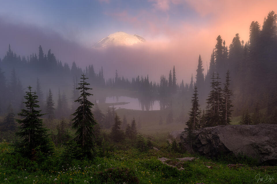 Sunrise Breaking through Alpine Fog over Mount Rainier’s Meadows