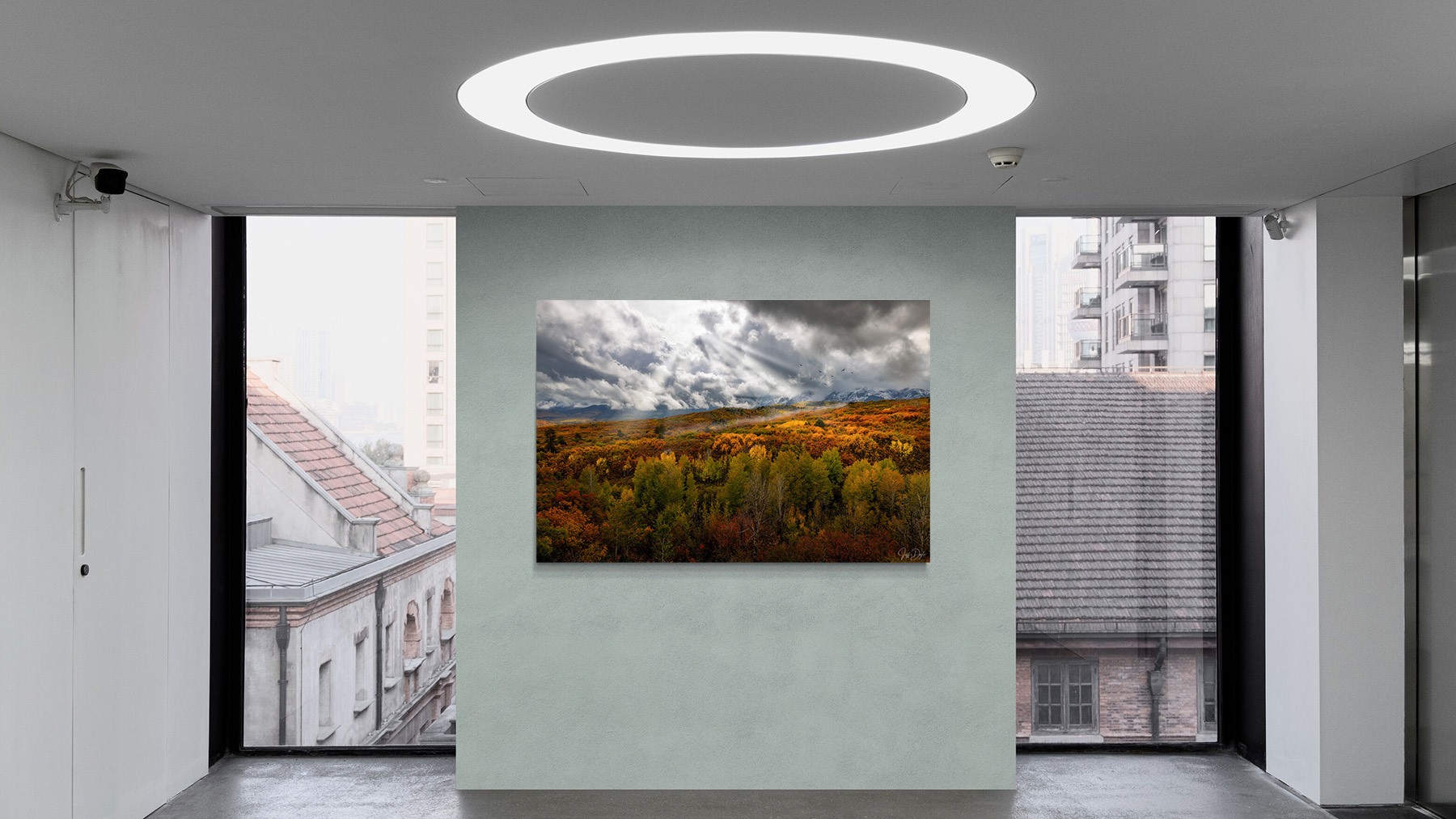 Modern commercial office interior with large windows featuring a fine art landscape print of autumn foliage and dramatic storm light over the San Juan Mountains near Ridgway, Colorado displayed on a minimalist feature wall.